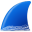 Wireshark Icon