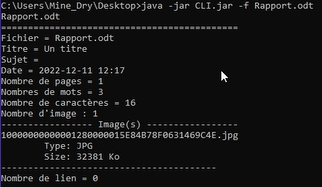 Image de l'interface console lors de l'utilisation de notre programme.